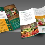Tri-Fold Brochure for your company, brochure design for your company.